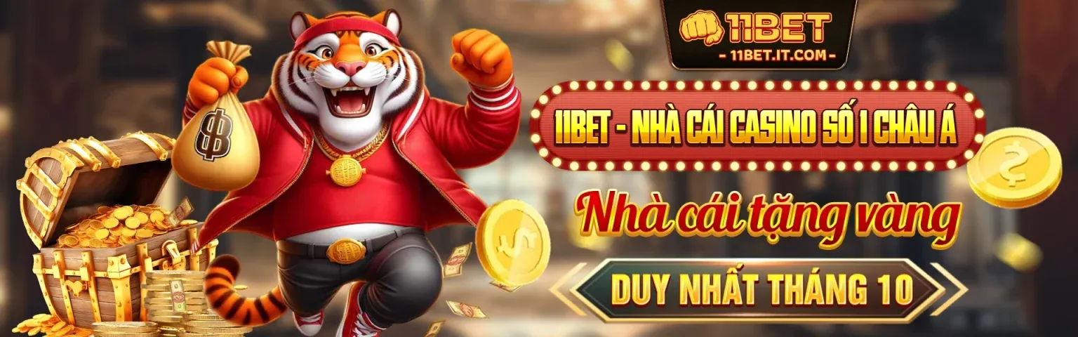 C54 Link - Câu Hỏi Thường Gặp